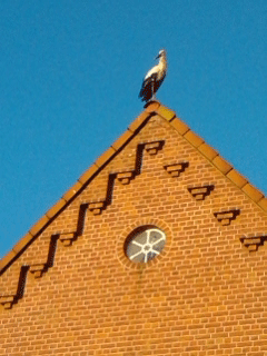 bd_Aga_Storch_LOsteria_2013_08_15_06_55_01