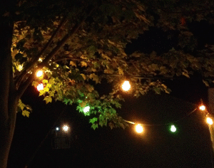 bd_Aga_Weinfest_2014_Baumbeleuchtung_022_Ausschnitt